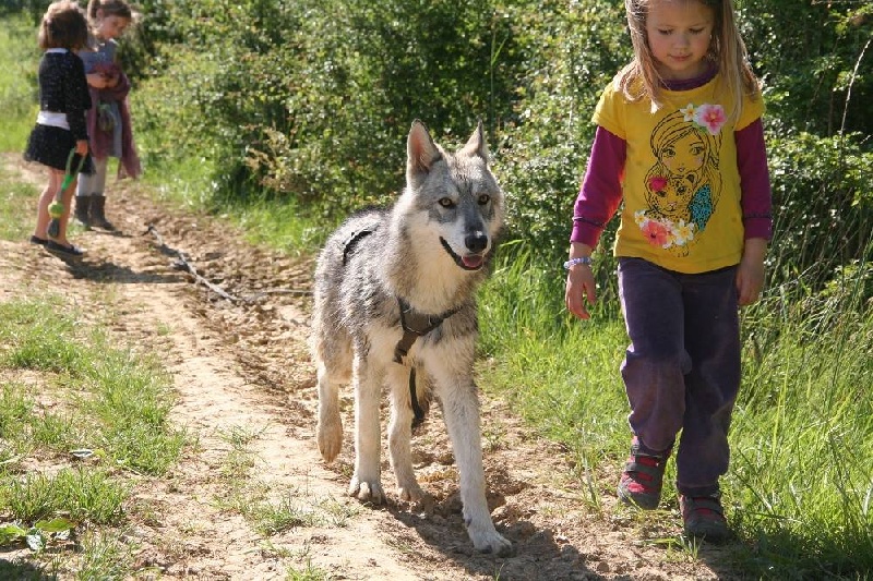 Jadzia Des Loups De Leendert